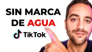 descargar videos de tiktok sin marca de agua